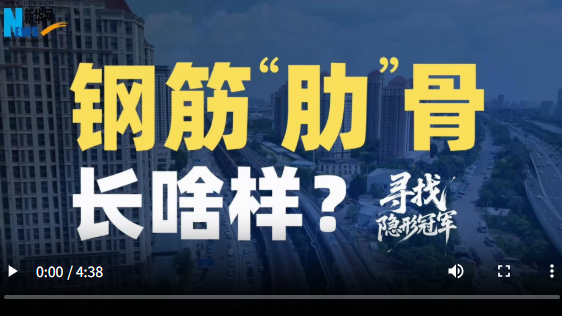 寻找隐形冠军丨Vlog：钢筋“肋”骨长啥样？