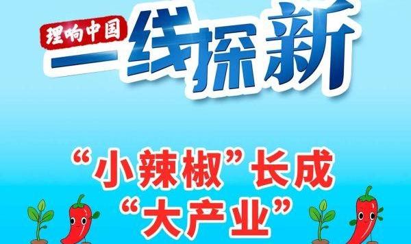 【理响中国·一线探新】手绘 | “小辣椒”长成“大产业”