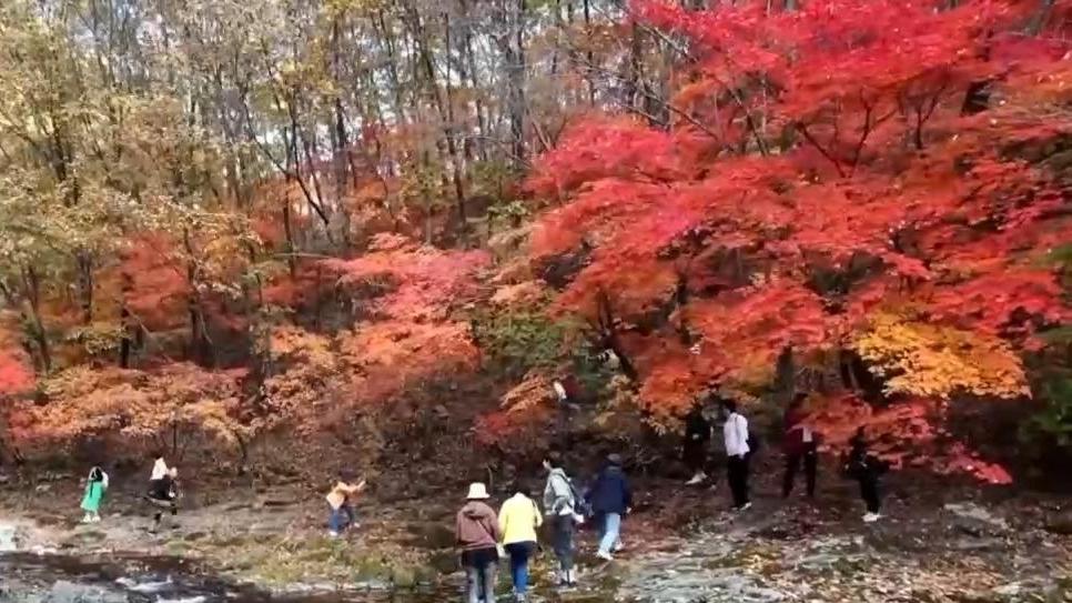 中秋国庆假期去哪儿玩？各地奉上“文旅大餐” 主打一个沉浸