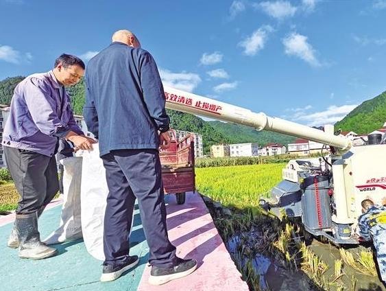 田间秋收忙