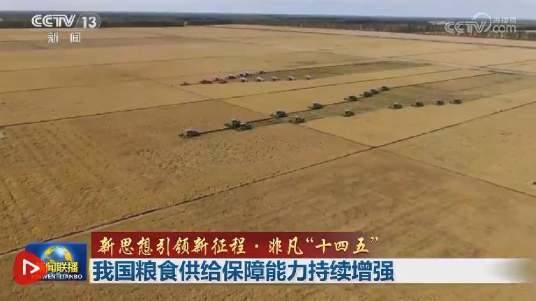【新思想引领新征程·非凡“十四五”】我国粮食供给保障能力持续增强