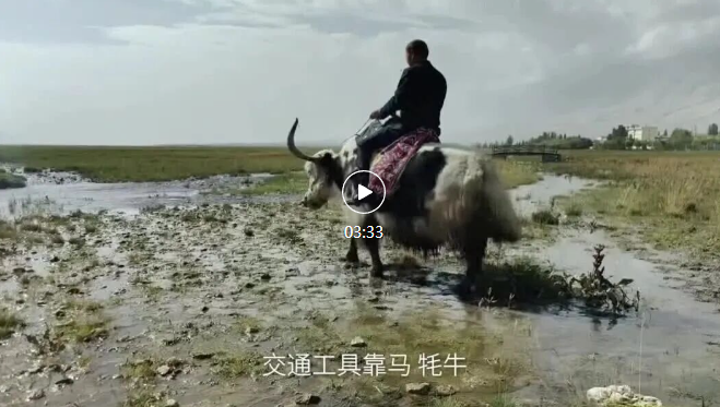 帕米尔之巅：骑着牦牛去办案