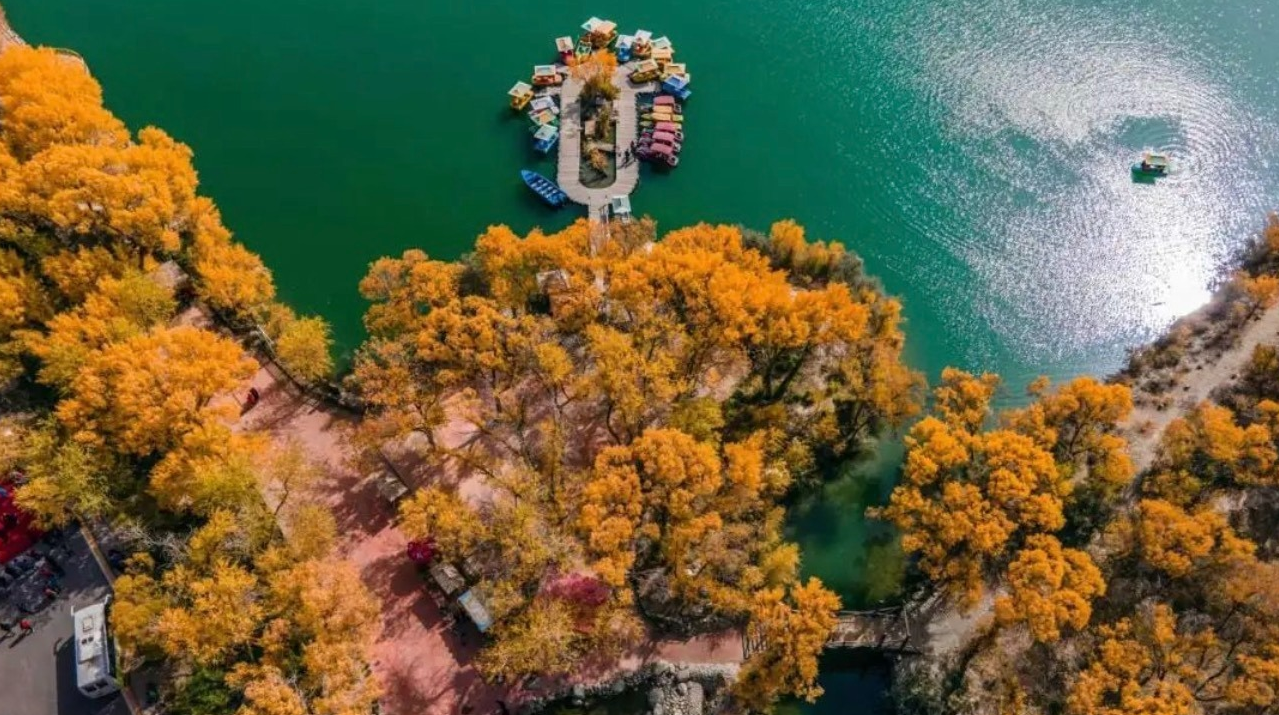 走进美丽新疆丨从金湖杨到金草滩，喀什用诚意迎接每一位游客