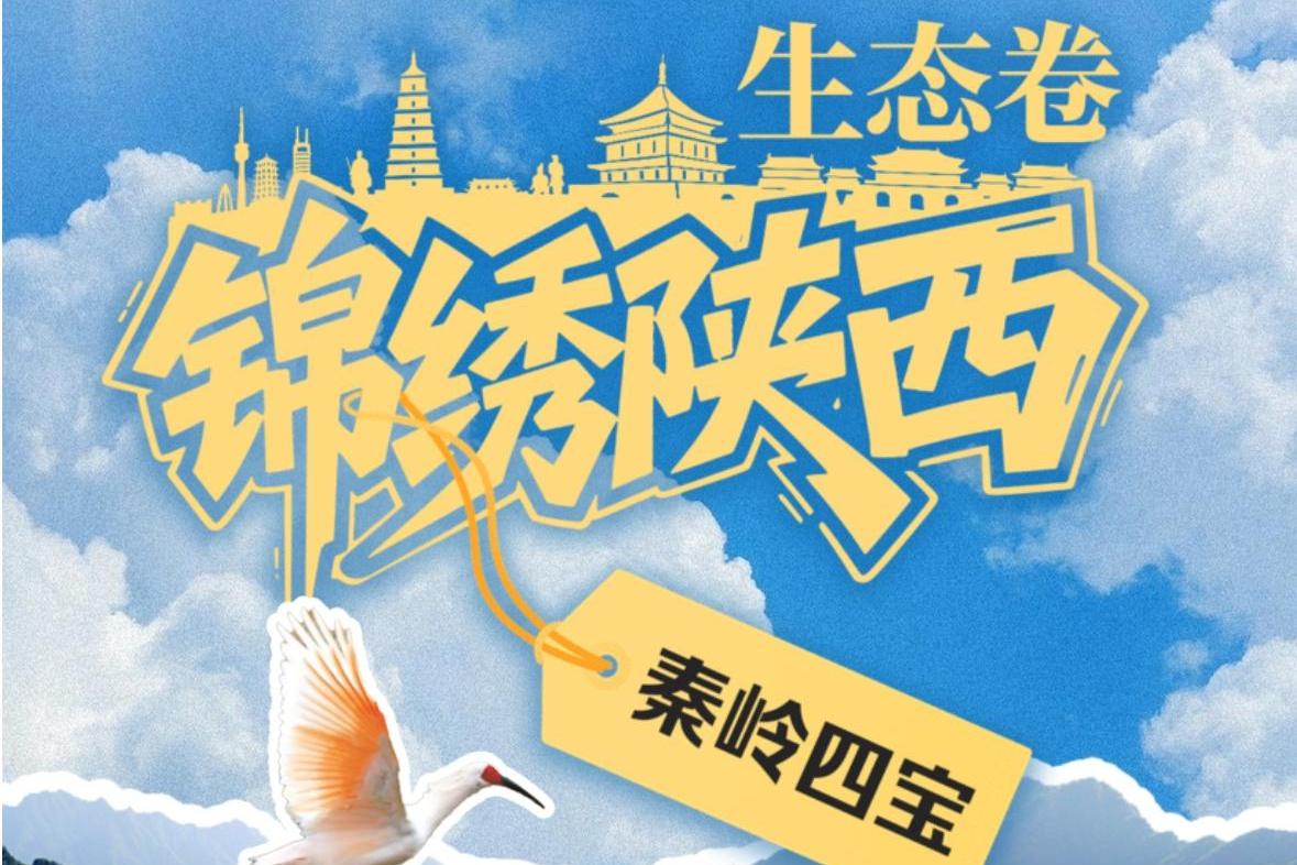 H5 │ 《锦绣陕西》生态卷：秦岭四宝
