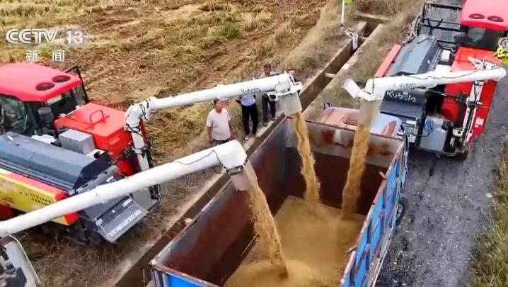 风吹稻浪、瓜果飘香 希望的田野呈现一幅“大地流金”的丰收图景