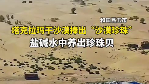 塔克拉玛干沙漠捧出“沙漠珍珠” 盐碱水中养出珍珠贝