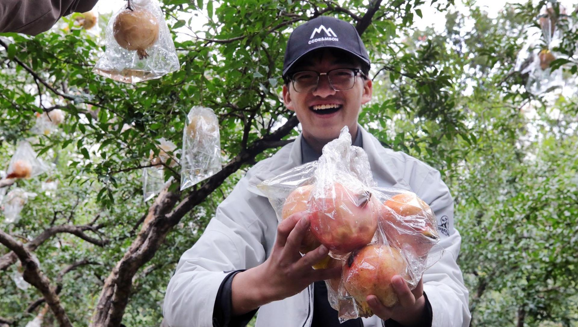 甜爆了！西科大500名学生涌进石榴园，这堂劳动课“火了”