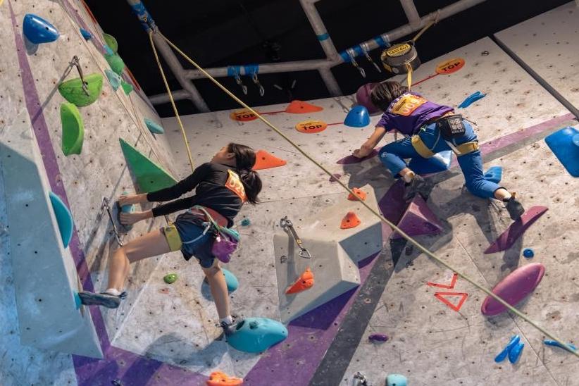 2025年省青少年体育俱乐部攀岩联赛总决赛落幕