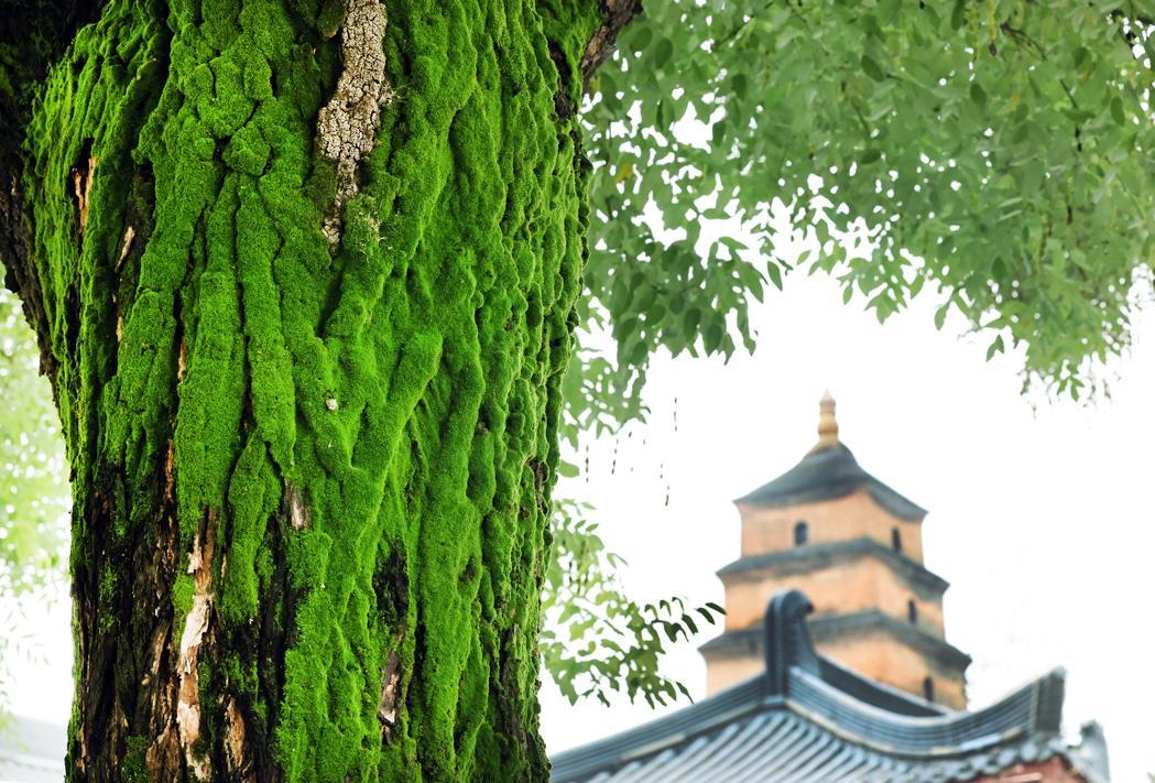 看西安“晴”為何物？