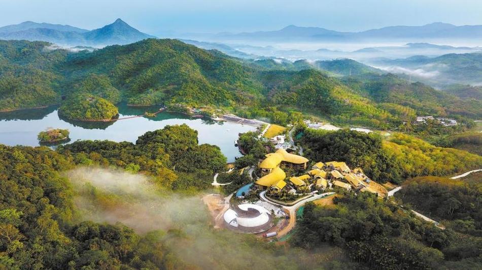 【中国那些事儿】“绿色中国” 赋能全球：高质量发展路径获国际社会广泛认可