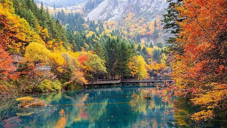 霜降已到，全國紅葉上線中！這些“出片寶地”藏不住了→