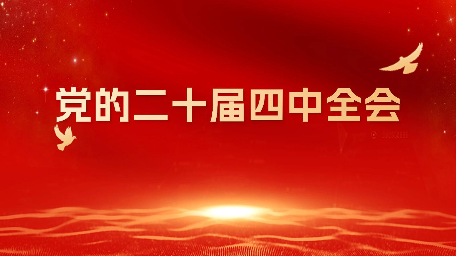 专题丨党的二十届四中全会