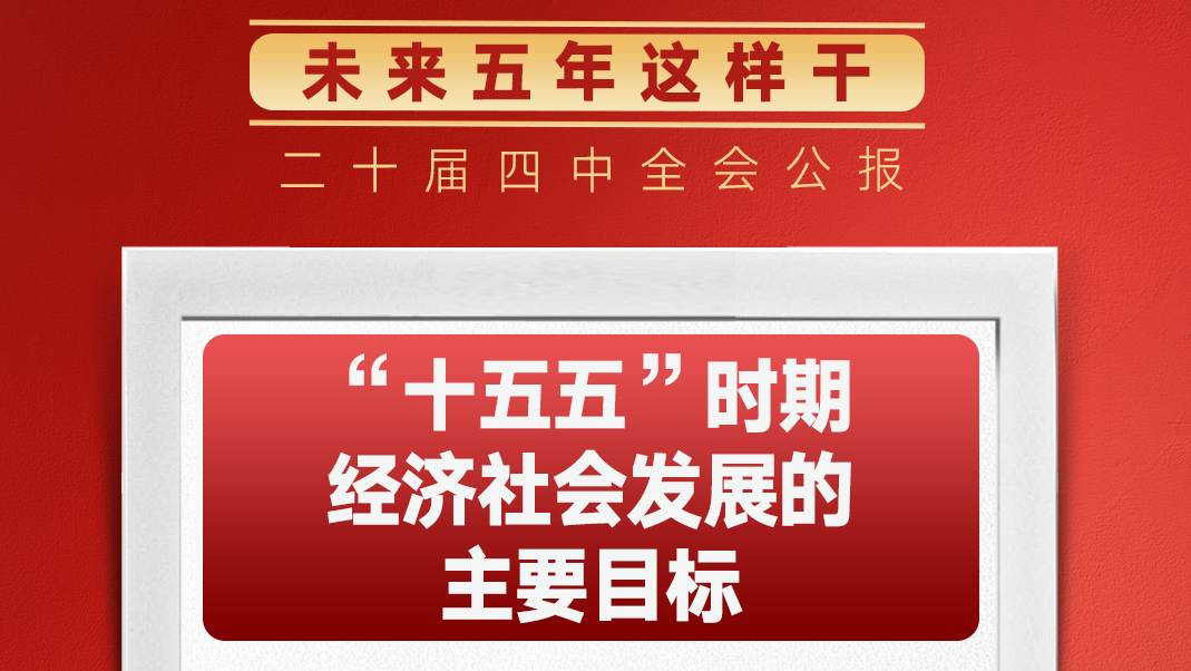 锚定“十五五”主要目标，未来五年这样干！