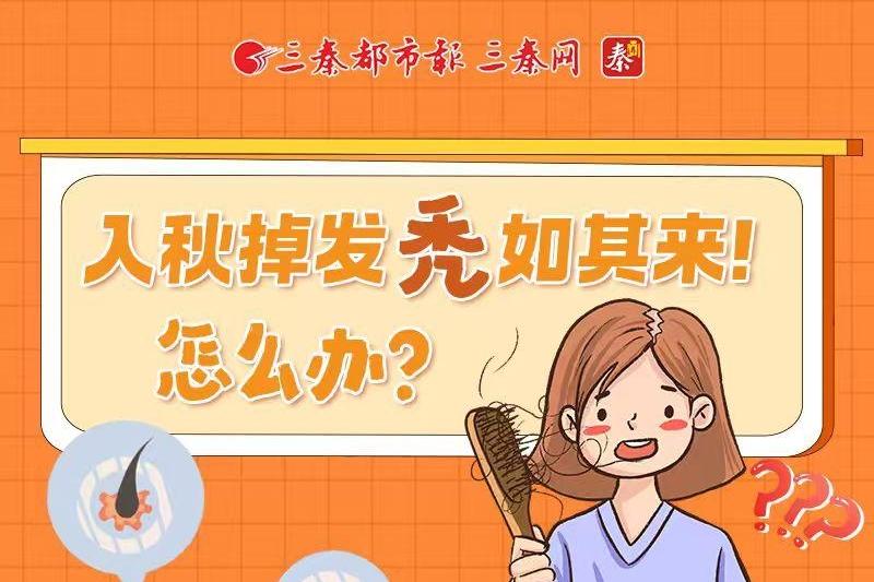 入秋掉发“秃”如其来！怎么办？