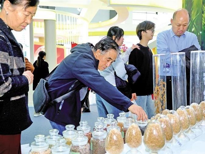 百千良种绘新景