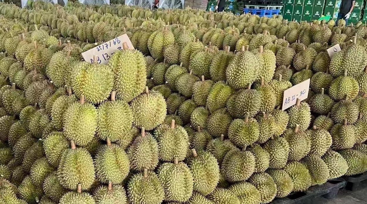 “陆海空” 多式联运让东盟水果 “抢鲜” 入境