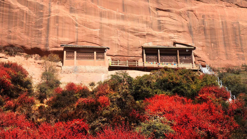 【何以中国·壁画里的中国】一位守窟人的二十年：与孤寂为伴，以赤诚守护“国宝”