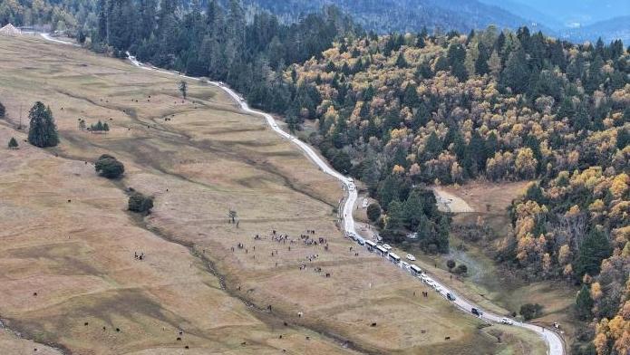 外国人士西藏林芝行 有很多“没想到”