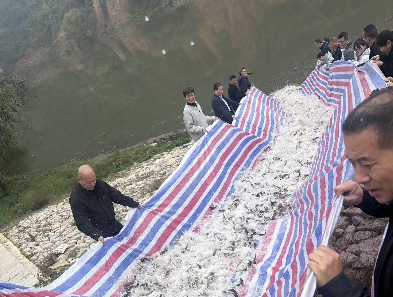 人工增殖放流 改善水域生态