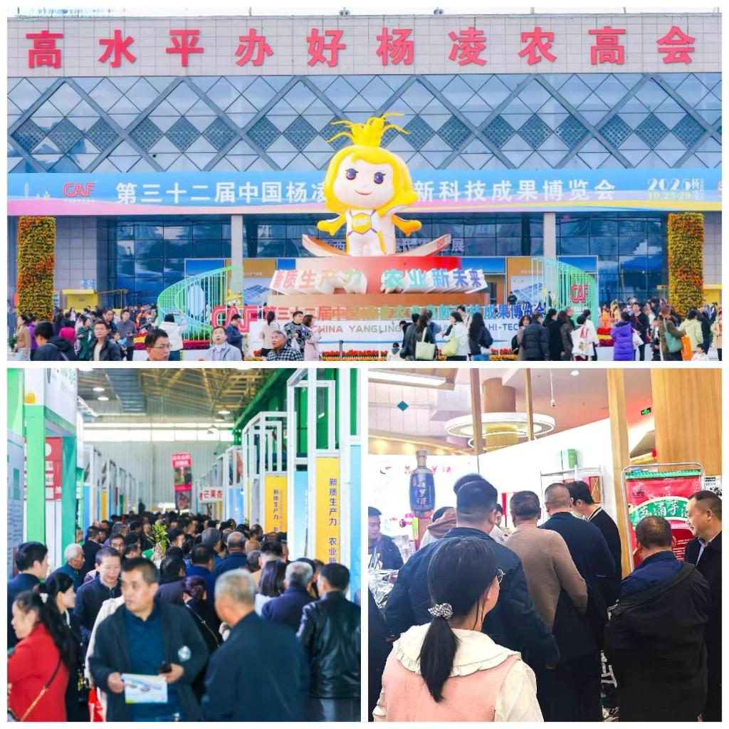 与董宇辉同台同频价值主张 荔浦芋酒农高会成功拓局西北