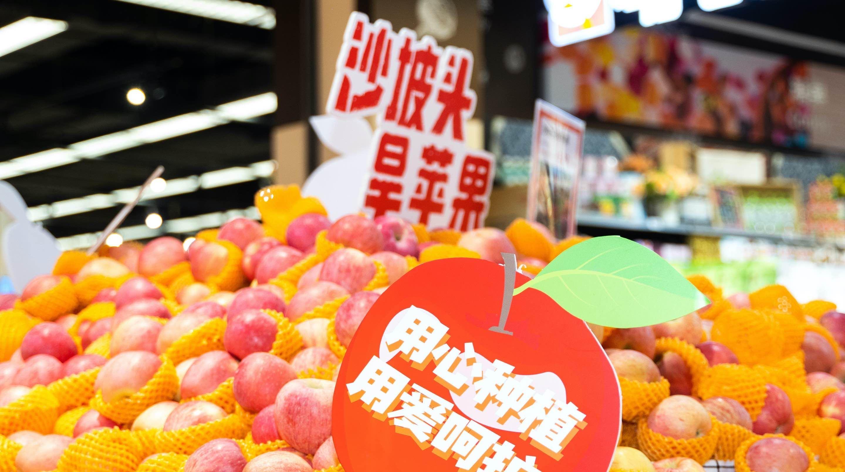 宁夏“沙坡头旱苹果”抢滩西安