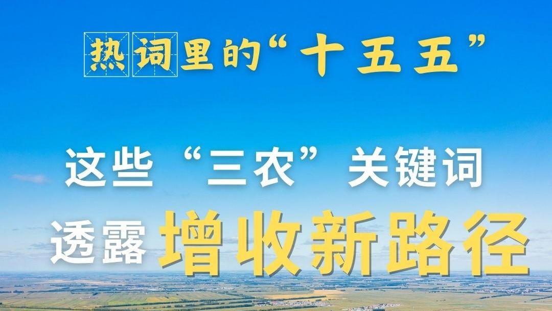 热词里的“十五五”丨这些“三农”关键词，透露增收新路径