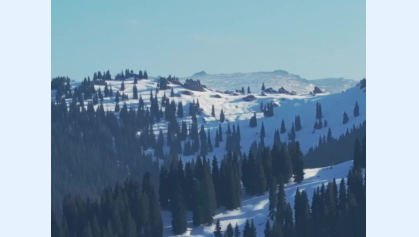 新疆木垒：马圈湾初雪至 雪静马动入画来