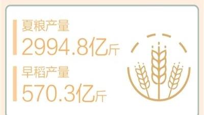 前三季度农村居民人均可支配收入同比实际增长6%