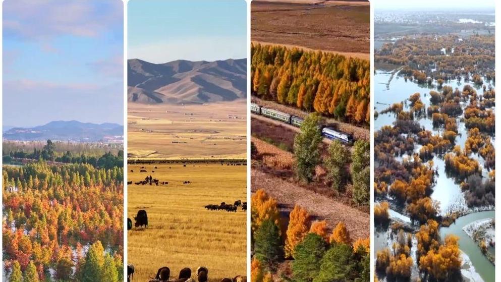文化中国行｜赏秋正当时！“文旅+”新业态为秋日经济注入新活力