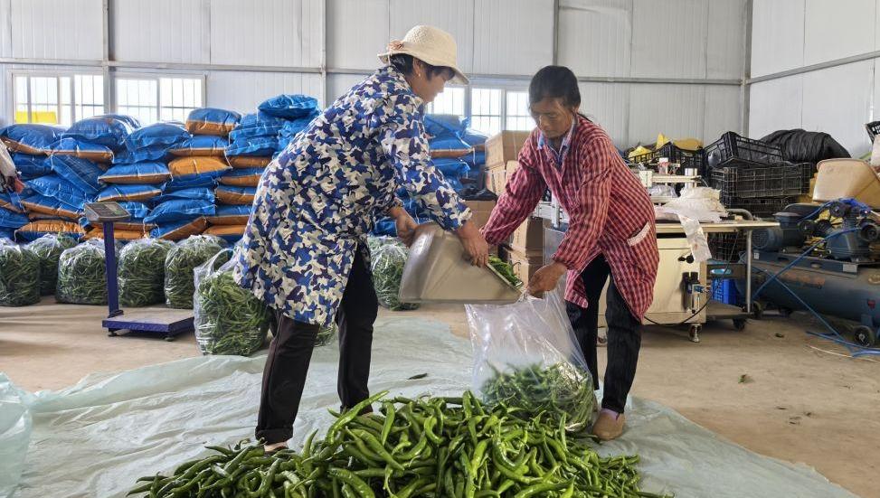 四中全会精神在基层 | “三股绳”拧成一道力