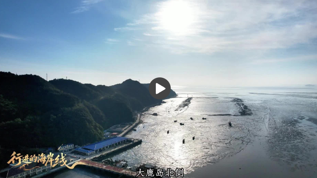 行进的海岸线 | 大鹿岛兴岛富民记：失而复得的“山不转水转”