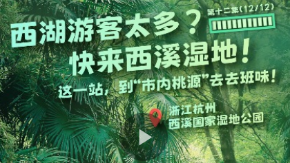 幸会中国 | 走进西溪湿地，漫步“市内桃源”，共享绿色空间