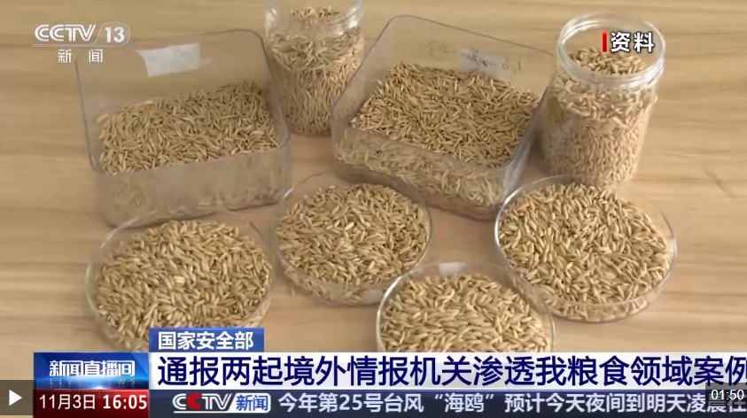 视频丨斩断田间窃密黑手！间谍在我国搜集农作物基因数据