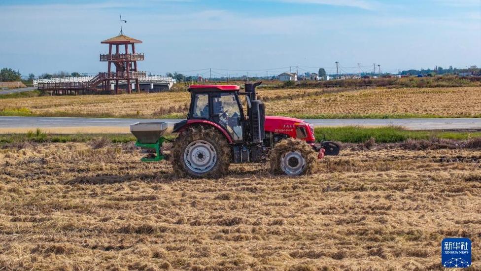 全国秋粮收获过九成 冬小麦播种过两成半