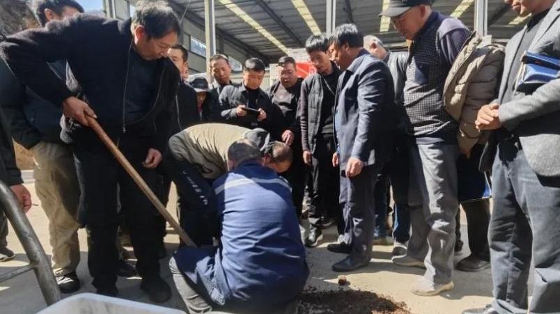 丹凤加快全域森林康养试点基地建设