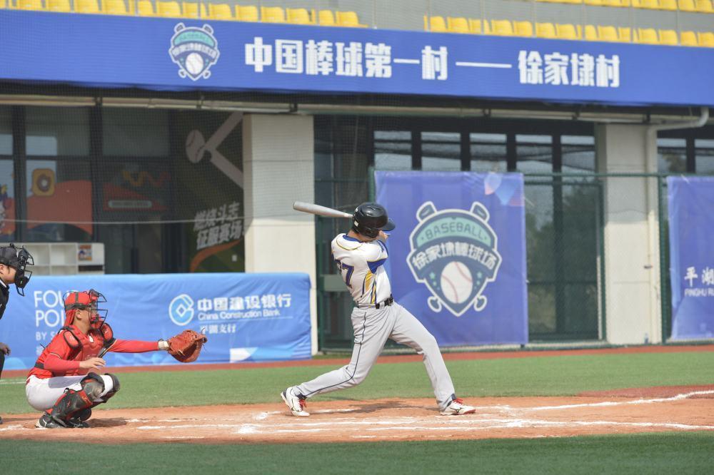 四中全会精神在基层|建起棒球场，组团种花卉——浙江嘉兴村庄走出抱团发展共富路