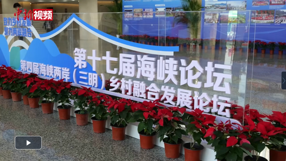 台湾业界：两岸乡村融合发展机遇多 台青“登陆”恰逢其时