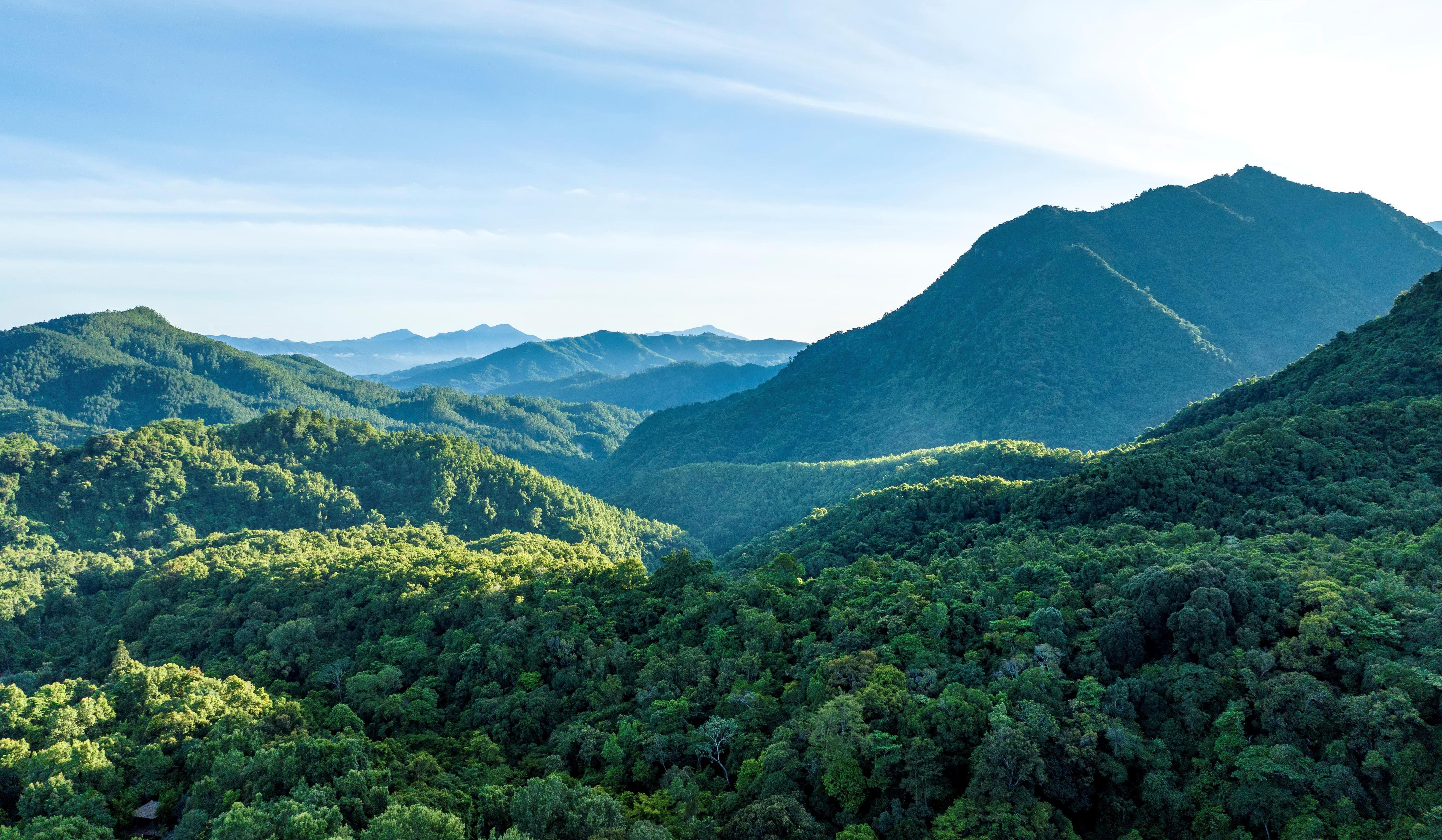时政微观察丨建设海南自由贸易港，总书记把脉定向