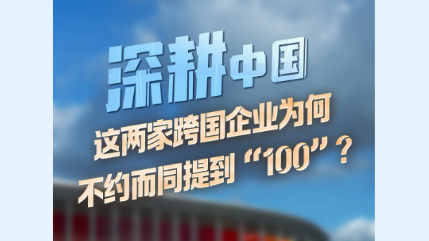 深耕中国 | 这两家跨国企业为何不约而同提到“100”？