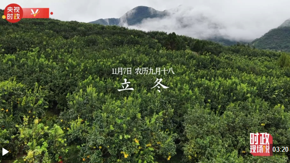 时政现场说丨金柚满枝头 产业甜万家