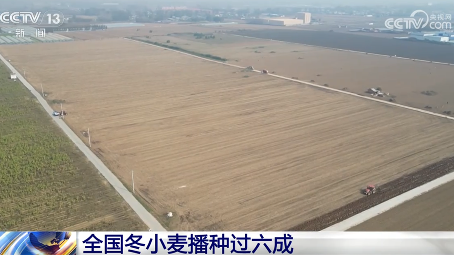 “良机+良技+良种”助力秋冬种按下“加速键” 端稳端牢“中国饭碗”