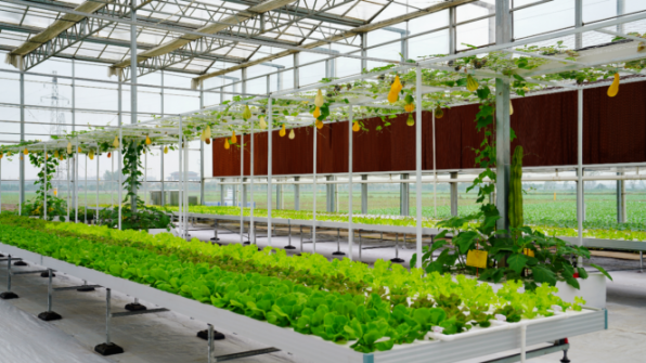 【理响中国·一线探新】探寻诗意嘉鱼的绿色富民密码