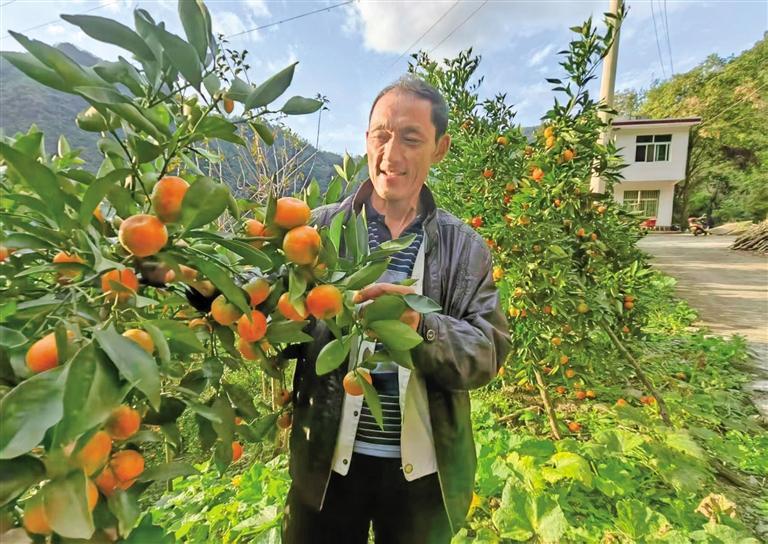 渔民叶泽奎的绿色转型之路