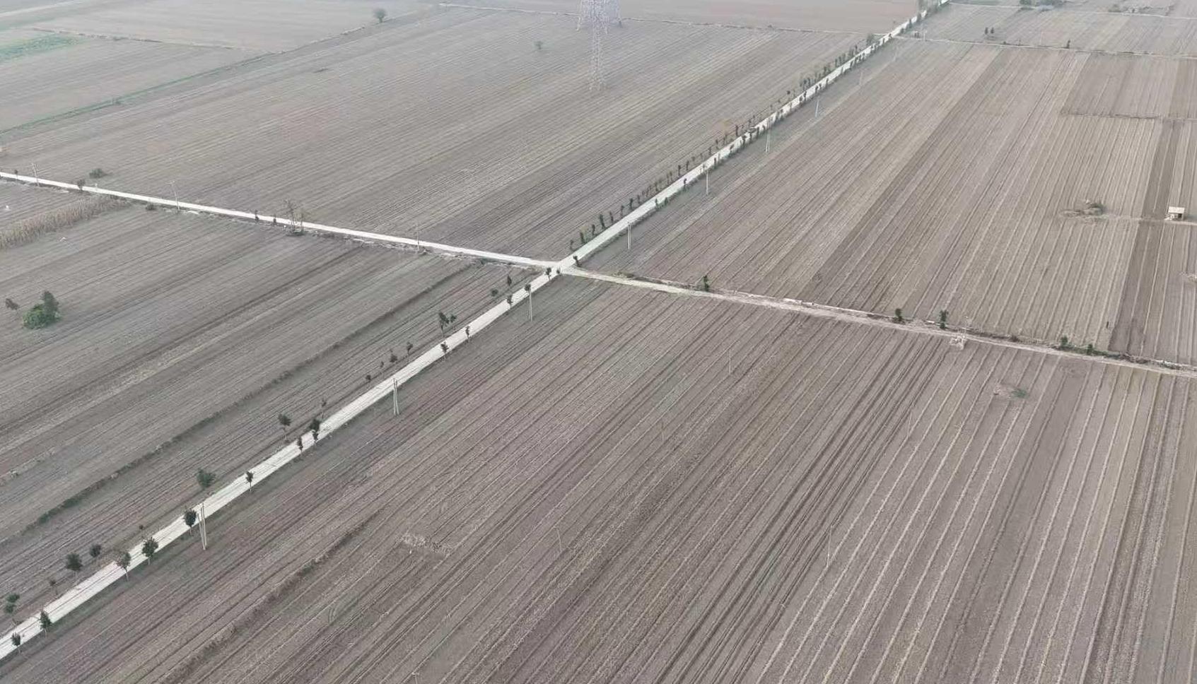 临潼区交口街道：良田沃野绘新景 善治兴业促振兴