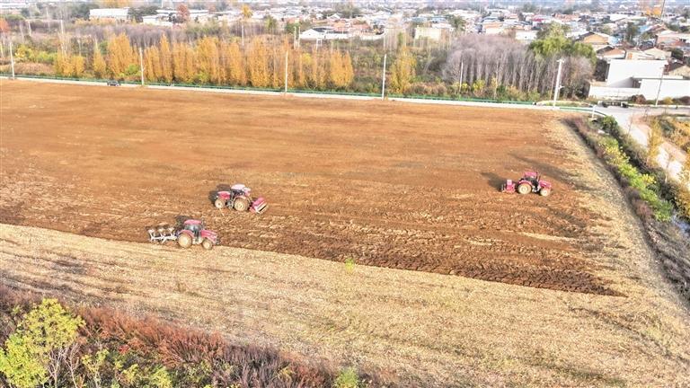 陕西多举措“补晚”抢种小麦