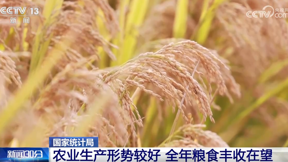 从10月份主要经济指标透视国民经济运行“稳”+“进”