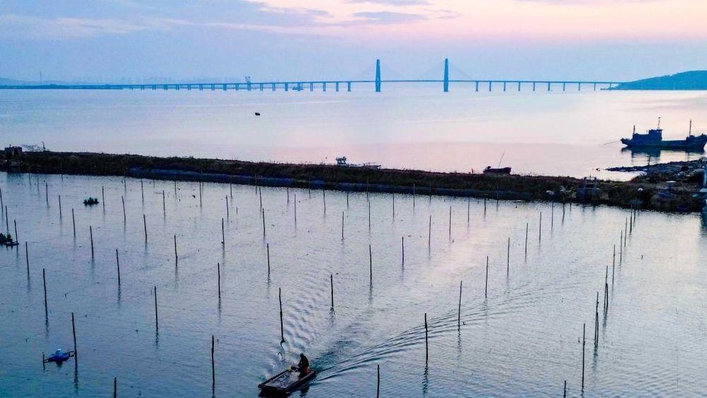 四中全会精神在基层｜山东：耕海牧渔充盈“蓝色粮仓”