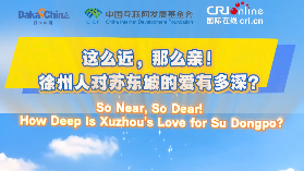 【2025打卡中国】这么近，那么亲！徐州人对苏东坡的爱有多深？