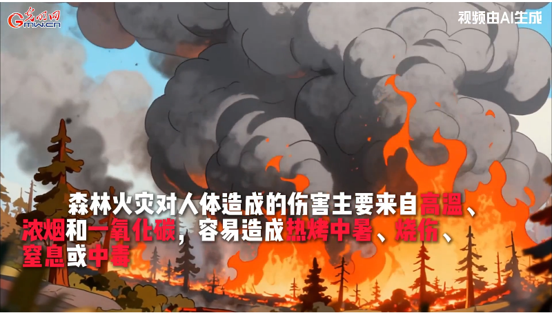 AI动画丨突遇森林火灾，我们该如何紧急求生