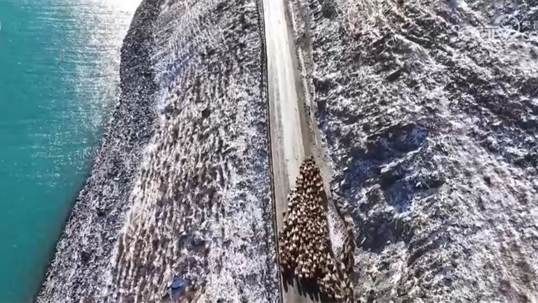 特色产业绘就百姓增收“实景图” 激活乡村振兴“一池春水”